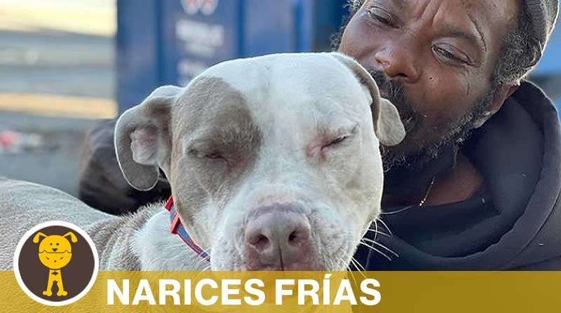 Hombre sin hogar rescata a perros y gatos que estaban en un refugio que se incendió